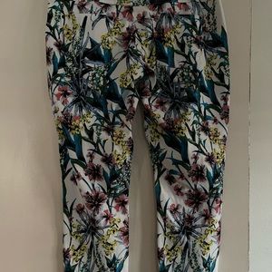 Hue Capri stretchies
